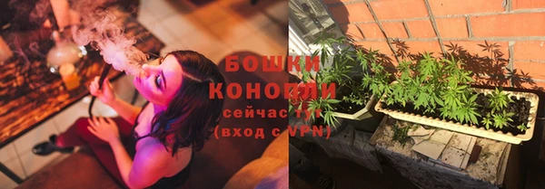 хмурый Кукмор