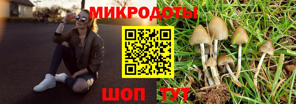 Псилоцибиновые грибы Psilocybine cubensis Усинск