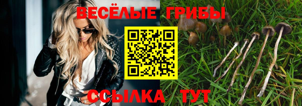 Псилоцибиновые грибы Psilocybe  Усинск 